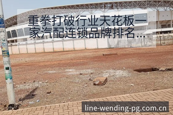 重拳打破行业天花板一家汽配连锁品牌排名变化深度分析 - 问鼎PG